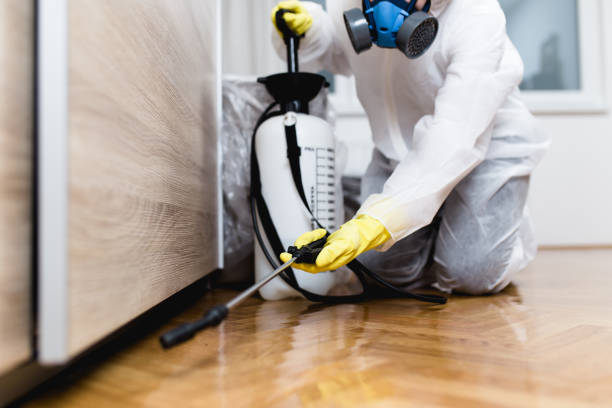 Best Termite Control Services  in Mapleton, ND