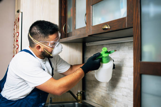 Best Pest Control Near Me in Mapleton, ND