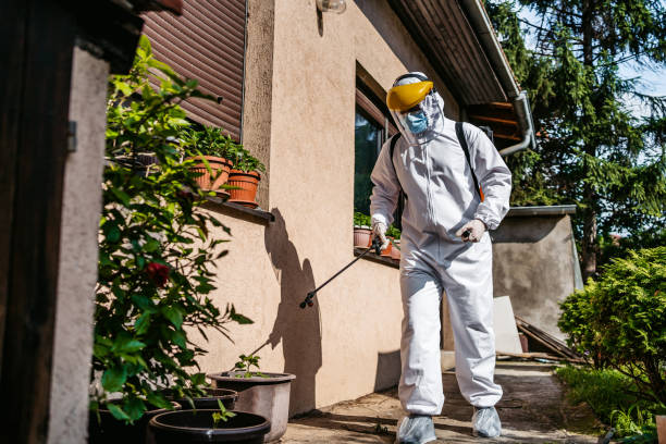 Best Exterminator Services  in Mapleton, ND
