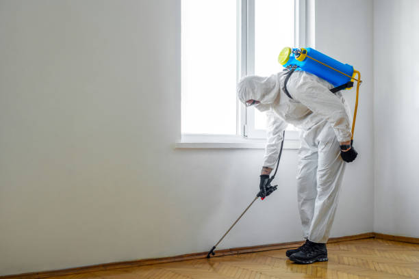 Best Residential Pest Control  in Mapleton, ND