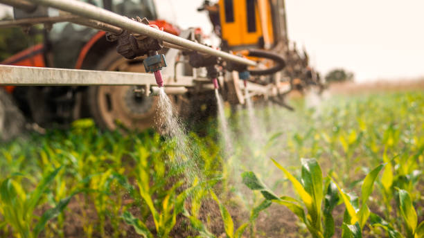 Best Wildlife Control Services  in Mapleton, ND